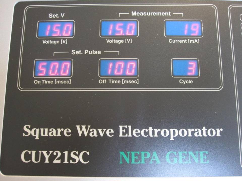 CUY21SC Device Settings at 15V